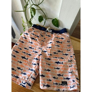 Big Chill Boy’s size 10/12 shark swim suit shorts